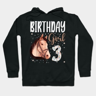 Horse Animal Lovers 3rd Birthday Girl Hoodie